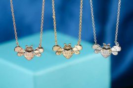Picture of Tiffany Necklace _SKUTiffanynecklace06cly14315500